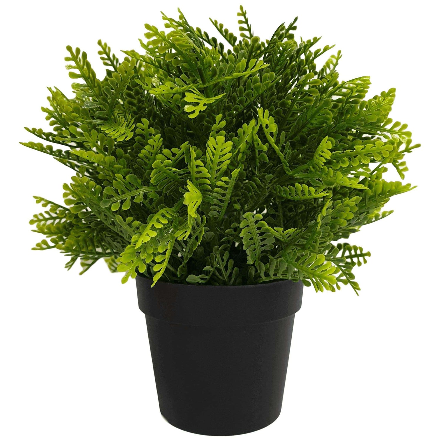 Small Potted Artificial Mimosa Fern UV Resistant 20cm - Designer Vertical Gardens artificial garden wall plants flowering