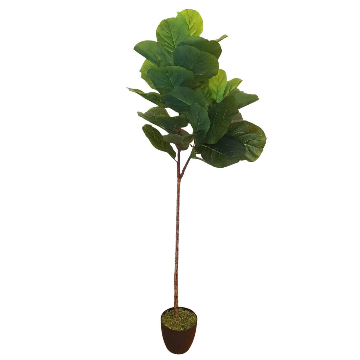 Tall Artificial Fiddle Leaf Fig 170cm - Designer Vertical Gardens artificial garden wall plants artificial green wall australia