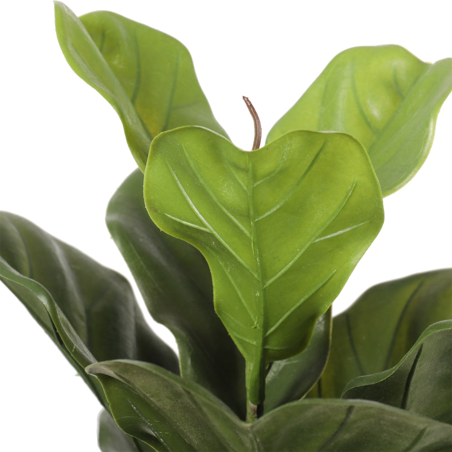 Ultra Premium Artificial Fiddle Leaf Fig Tree 150cm UV Resistant - Designer Vertical Gardens