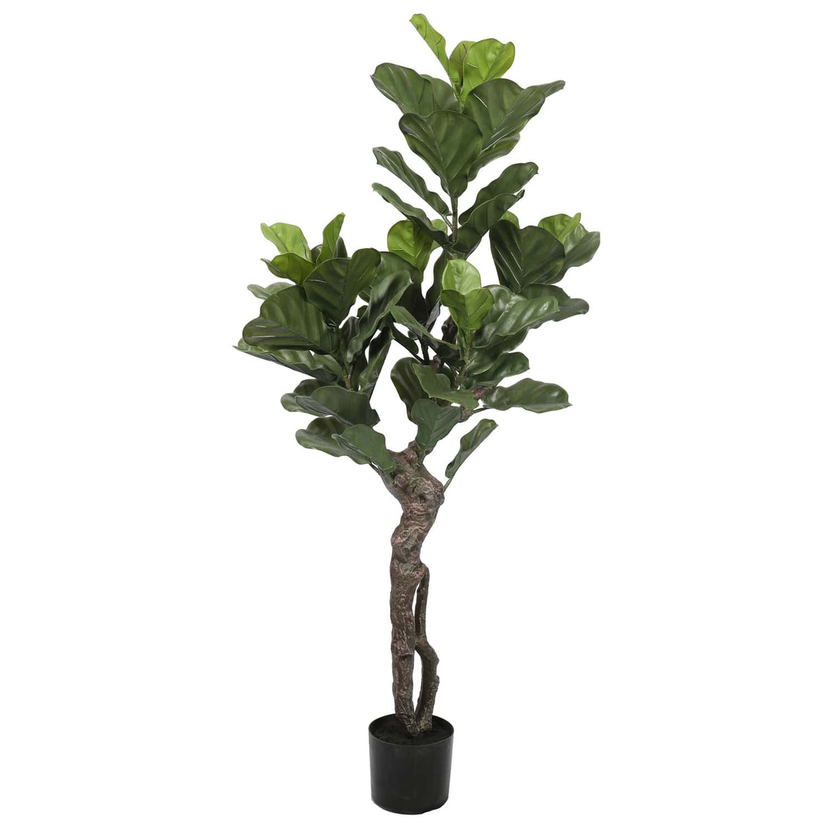 Ultra Premium Artificial Fiddle Leaf Fig Tree 150cm UV Resistant - Designer Vertical Gardens