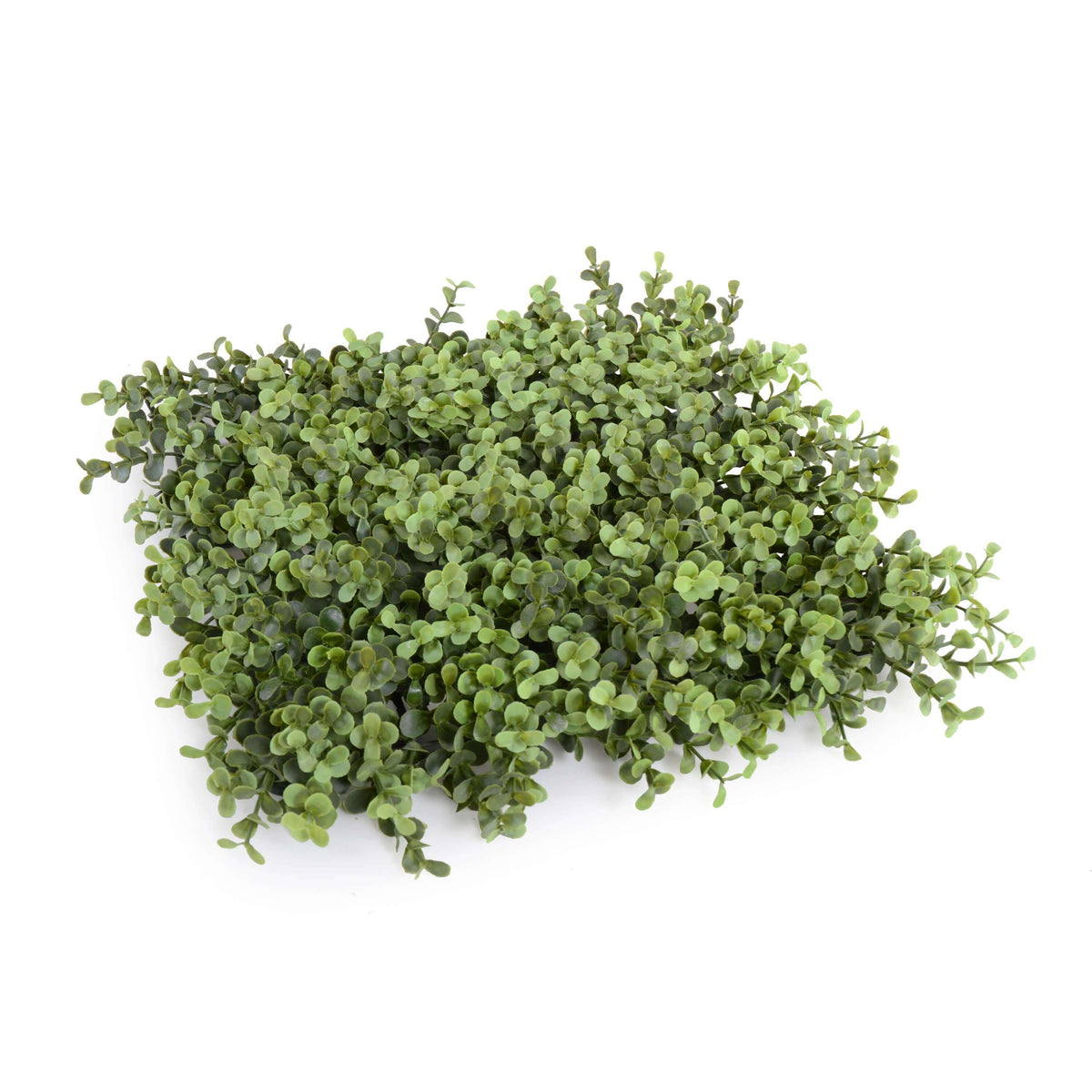 UV Resistant Premium Natural Buxus Artificial Hedge Panel - SAMPLE - Designer Vertical Gardens artificial garden wall plants artificial green wall australia